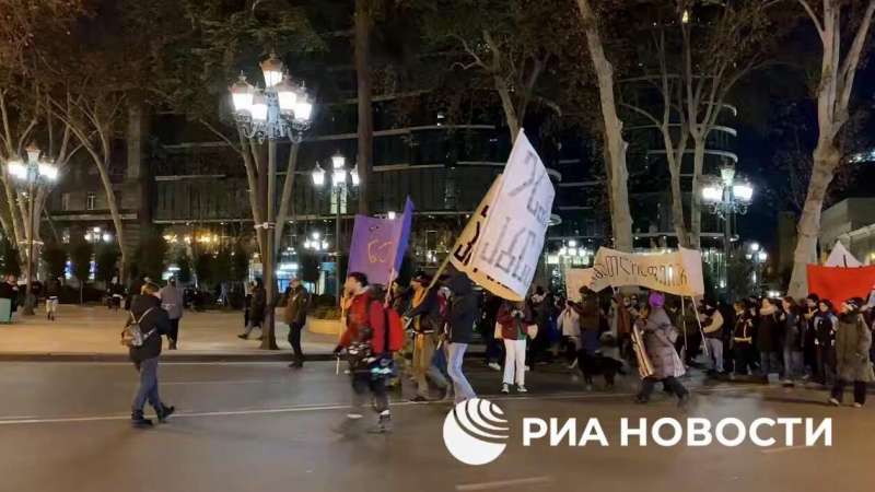 В Тбилиси завершилась акция протеста у парламента Грузии